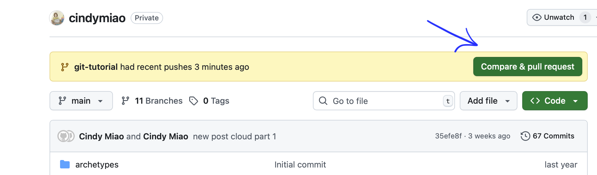 Making a PR on the online IDE